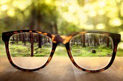 Eye Q Opticians Limited logo