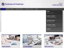Feldman & Feldman logo