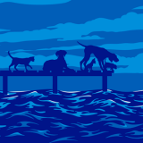 Fish4dogs Limited