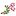 Flowers By Anne Goldschmidt logo