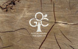 G O'callaghan
