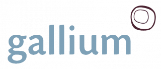 Gallium Computer Systems logo