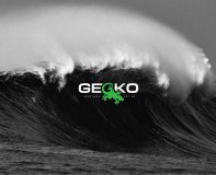 Gecko Head Gear Limited logo