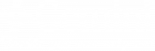 Gemini Tackle Co. Limited logo