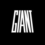 Giant International Limited