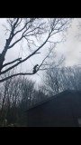 Gibsons Treecare