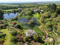 Glenwhan Gardens Nursery