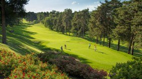 Golf Par Excellence logo