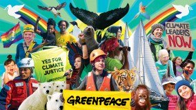 Greenpeace Groups