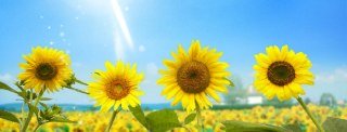 Group Travel Brokers