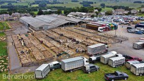 Hawes Farmers Auction Mart Co. Limited logo