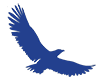 Hawk Associates logo