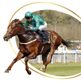 Heart Of The South Racing & Bloodstock