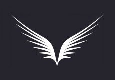 Heaven Sent logo