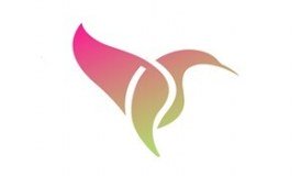 His Limited logo