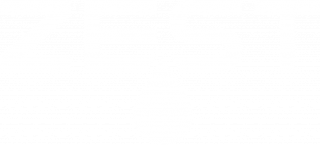 Zest Communications logo