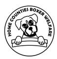 Home Counties Boxer Dog Welfare