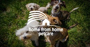 Home From Home Pet Care Limited logo