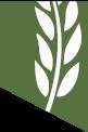 B K Grain Handling Engineers