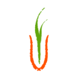 Agrivice Limited logo