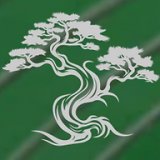 Kyoto Bonsai Limited