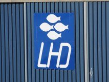 L H D Limited