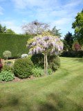 Latchmoor Garden Care