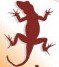 Lizardproperty.Co.Uk logo