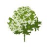 Longman Tax Recruitment logo