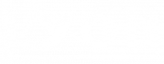 Lyon & Co.