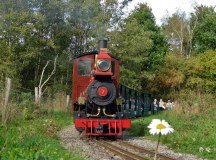 Eastleigh Lakeside Steam Railway logo