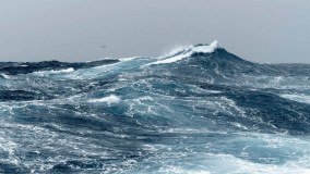 Marine Stewardship Council