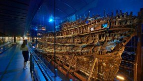 Mary Rose Museum logo