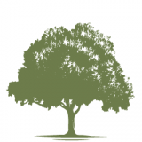Meadow Wood logo