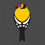 Menter Mon logo