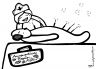 Acupuncture in Action