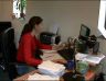 office
