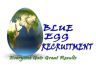 Blue Egg Recruitment