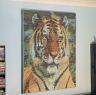 Siberian Tiger  - Framed Mosaic Wall Art