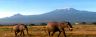 amboseli