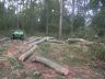 A small logging contract near Tenbury Wells, Worcs.