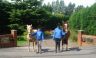 Entrance to the Riding School