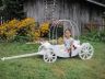 Bridesmaid Pumpkin Carriage