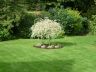 Garden Maintenance