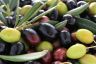 Fresh Olives