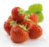 Strawberries photographed for packaging.