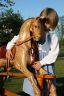 Medium laminated wooden rocking horse.