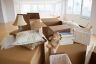 packing services