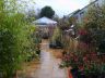 Our well stocked outdoor plant area