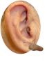 cic in ear and cic